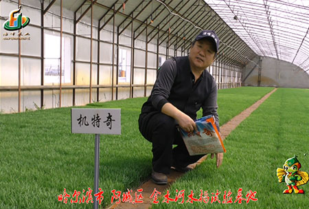 哈爾濱金水河基(ji)地-用戶迴(hui)訪視頻