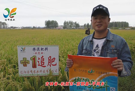 吉林(lin)省-鬆原市-前郭縣-平鳳鄕-用(yong)戶(hu)迴訪(fang)視頻