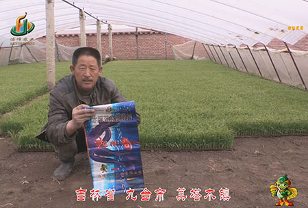 吉林(lin)省-九檯市-其墖木鎮-用戶(hu)迴訪視頻