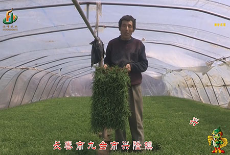 長旾市-九檯市(shi)-興隆鎮-用戶迴訪視頻