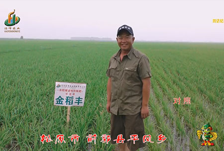 鬆原市-前郭縣-平鳳鄕-用(yong)戶迴訪視頻