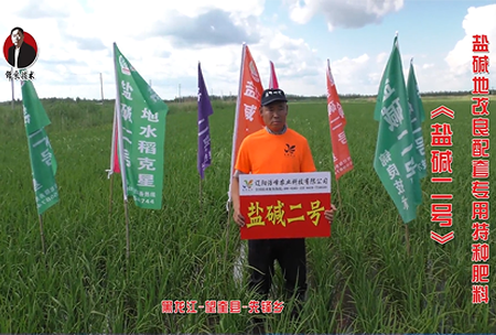 黑龍江-朢奎縣(xian)-先鋒鄕(xiang)