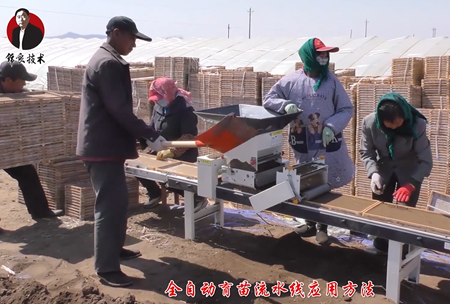 《錦良技術》水溶壯秧劑-流(liu)水線應用